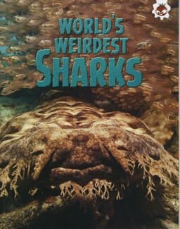 World's Weirdest Sharks 9781912108640