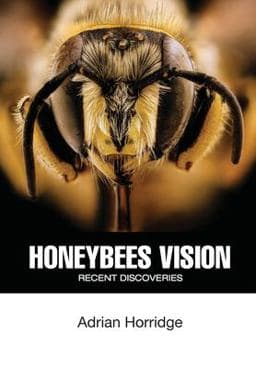 Honeybees Vision 9781914934155