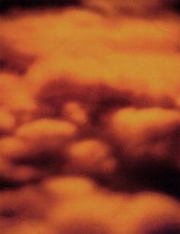 Sanctum 9781931885577