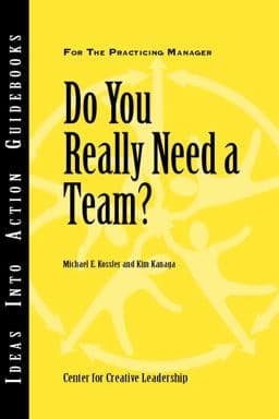 Do You Really Need a Team? 9781932973129