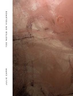 100 Notes on Violence 9781934103111