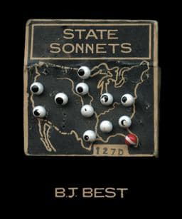 State Sonnets 9781934513200