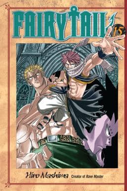 Fairy Tail 15 9781935429340