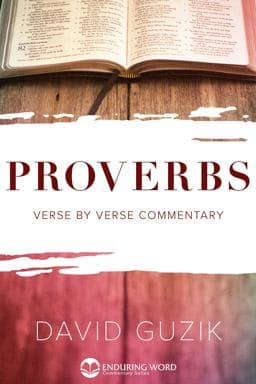 Proverbs 9781939466563
