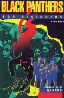 Black Panthers for Beginners 9781939994394