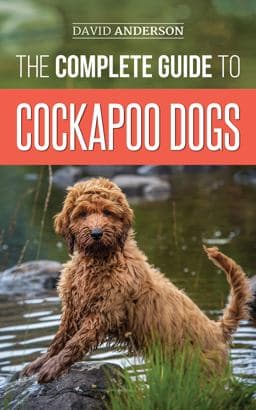 The Complete Guide to Cockapoo Dogs 9781952069550