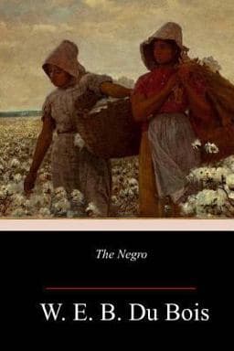 The Negro 9781984261687