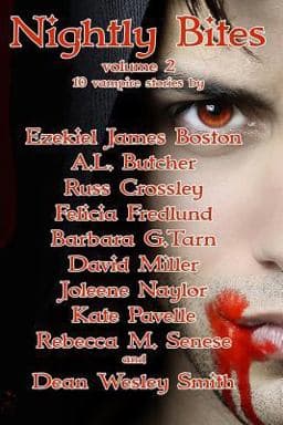 Nightly Bites Volume 2 9781986610247