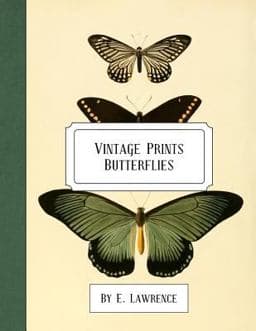 Vintage Prints: Butterflies 9781987492019
