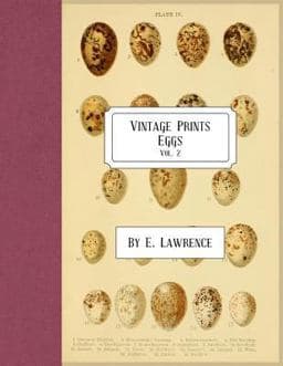 Vintage Prints: Eggs: Vol. 2 9781987715255