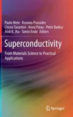 Superconductivity 9783030233020