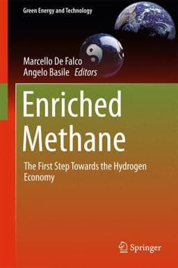 Enriched Methane 9783319221915