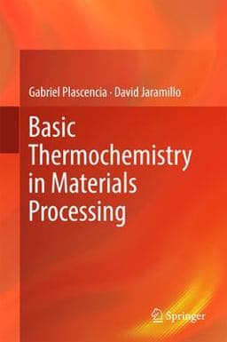 Basic Thermochemistry in Materials Processing 9783319538136