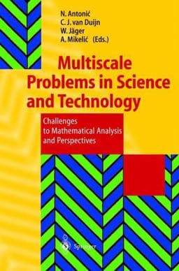 Multiscale Problems in Science and Technology 9783642562006