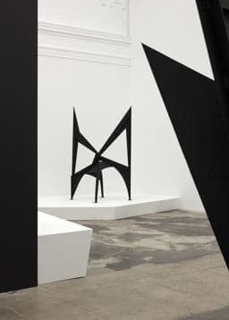 Calder: Nonspace 9783906915364