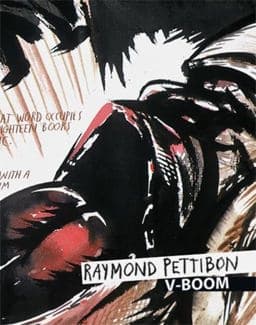Raymond Pettibon 9783939583264