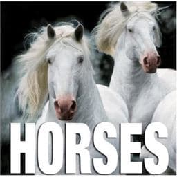 Horses 9788854400511
