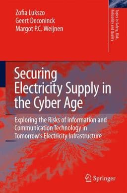 Securing Electricity Supply in the Cyber Age 9789048135936