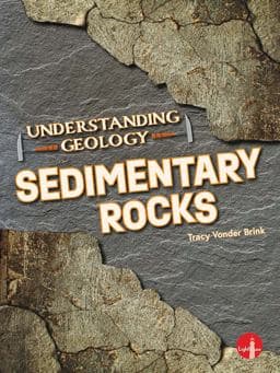 Sedimentary Rocks 9798887350448