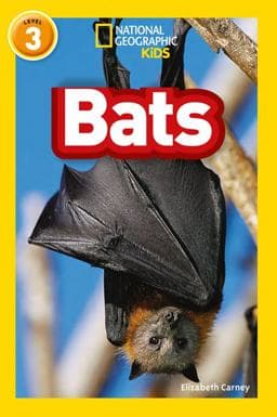 Bats 9780008266707