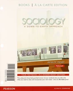 Sociology 9780133773736