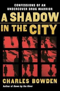 A Shadow in the City 9780156032537