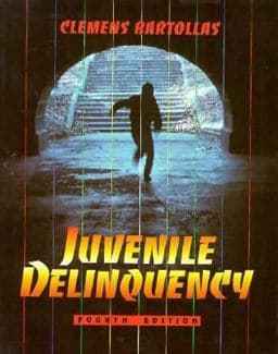 Juvenile Delinquency 9780205174416