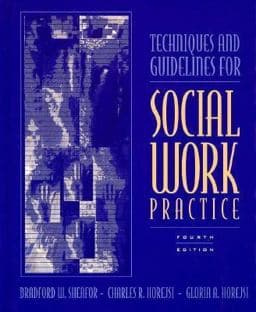 Techniques and Guidelines for Social Work Practice 9780205191772