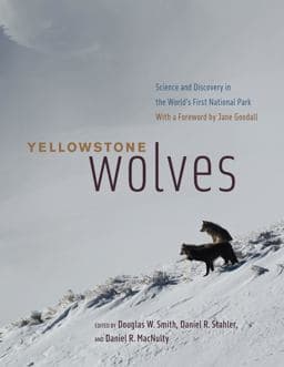 Yellowstone Wolves 9780226728483