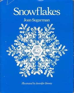 Snowflakes 9780316821124