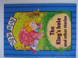 The King's Hole 9780333418734