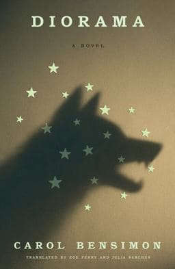 Diorama 9780374616038