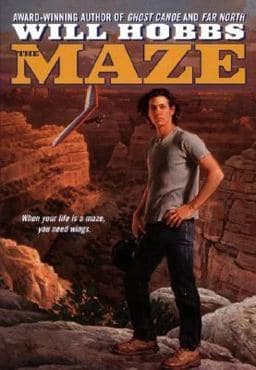 The Maze 9780380729135