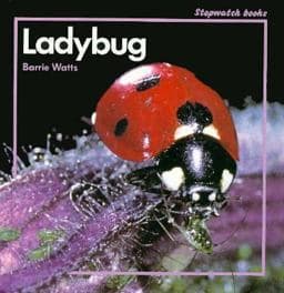 Ladybug 9780382094378
