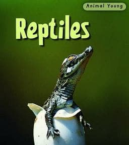 Reptiles 9780431932446