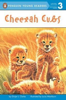 Cheetah Cubs 9780448443614