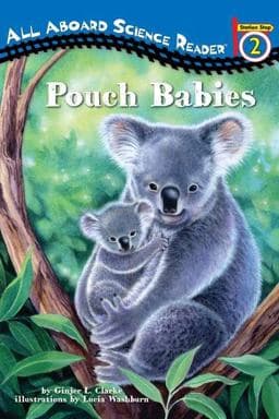 Pouch Babies 9780448451077