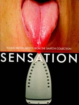 Sensation 9780500280423