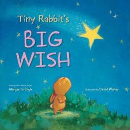 Tiny Rabbit's Big Wish 9780547852867