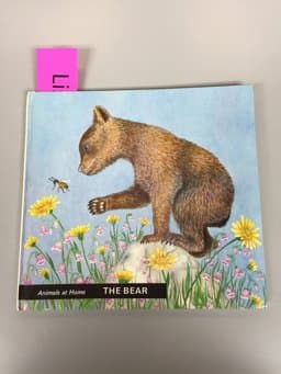 The Bear 9780550315076