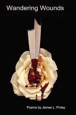 Wandering Wounds 9780557004157