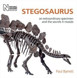Stegosaurus 9780565093884