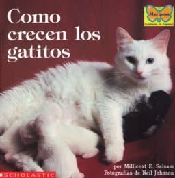 Como Crencen los Gatitos 9780590450003