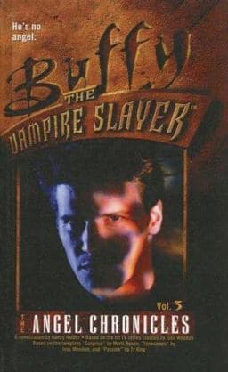 The Angel Chronicles 9780613730648