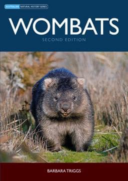 Wombats 9780643096011