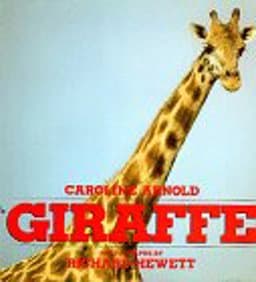 Giraffe 9780688070700
