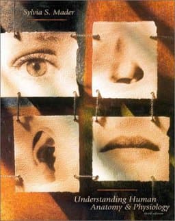 Understanding Human Anatomy and Physiology 9780697251701