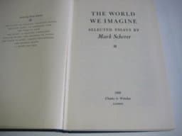 The World We Imagine 9780701114657