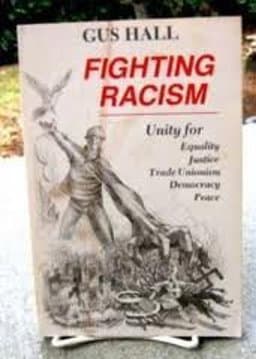 Fighting Racism 9780717806263