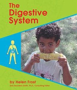 The Digestive System 9780736806497